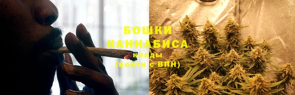 мяу мяу мука Абаза