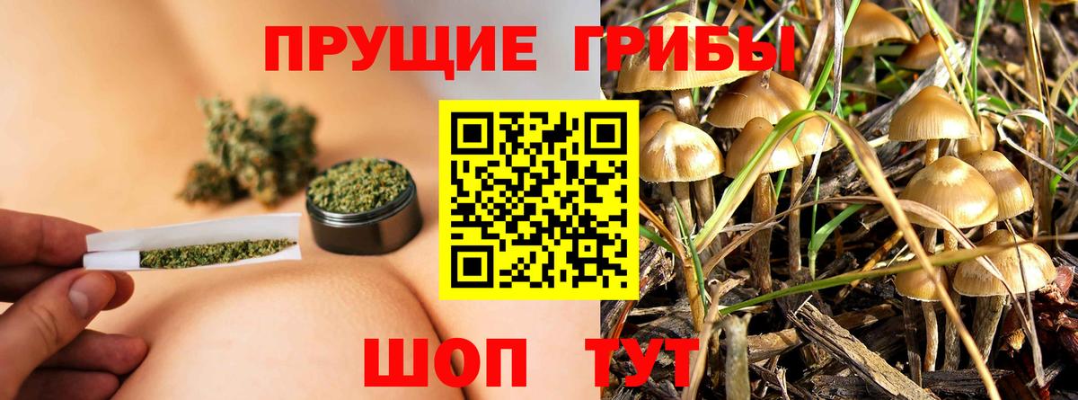 Псилоцибиновые грибы мухоморы  Галлюциногенные грибы мухоморы  Вход с VPN  Кумертау 